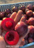 Слива Санта Роза (Santa Rosa) (Низал) Слива Санта Роза (Santa Rosa) (Низал)