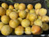 Слива Голден Плумза (Golden Plumza)