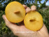 Слива Голден Плумза (Golden Plumza)